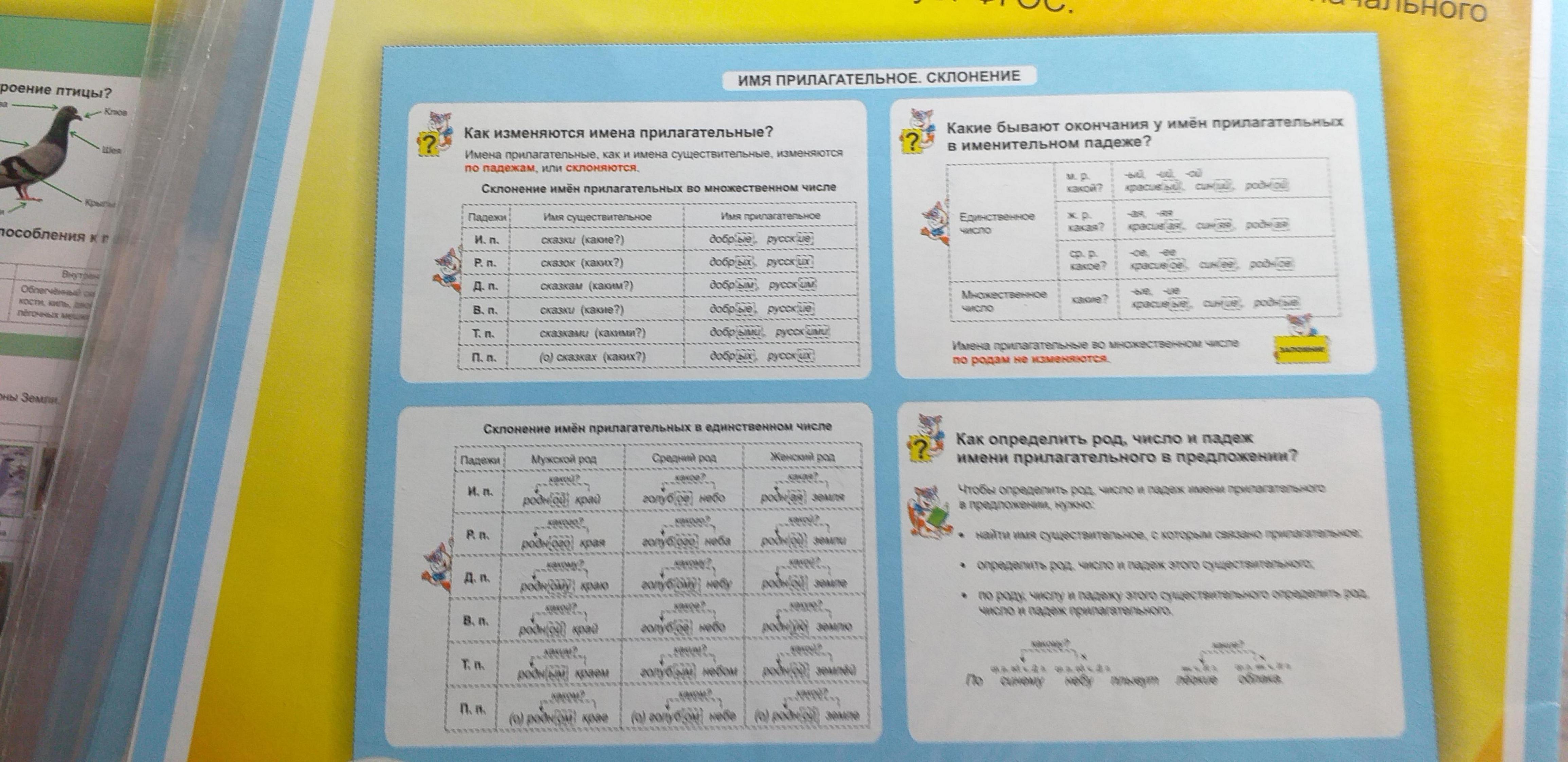 Таблица-плакат Русский язык 1-4 классы Имя прилагательное Склонение