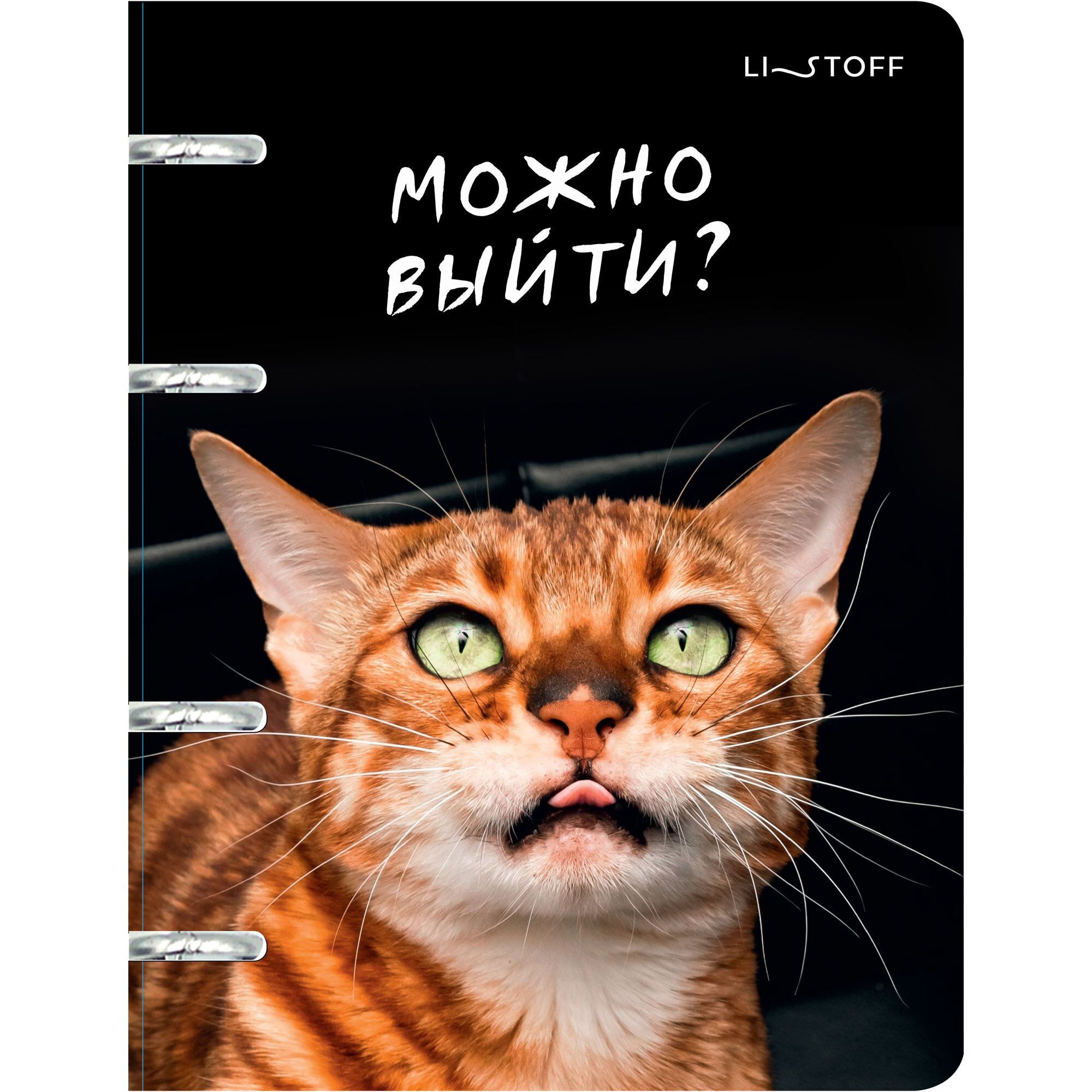 Тетрадь на кольцах 100 листов клетка "Котики" арт.ТКП1005382