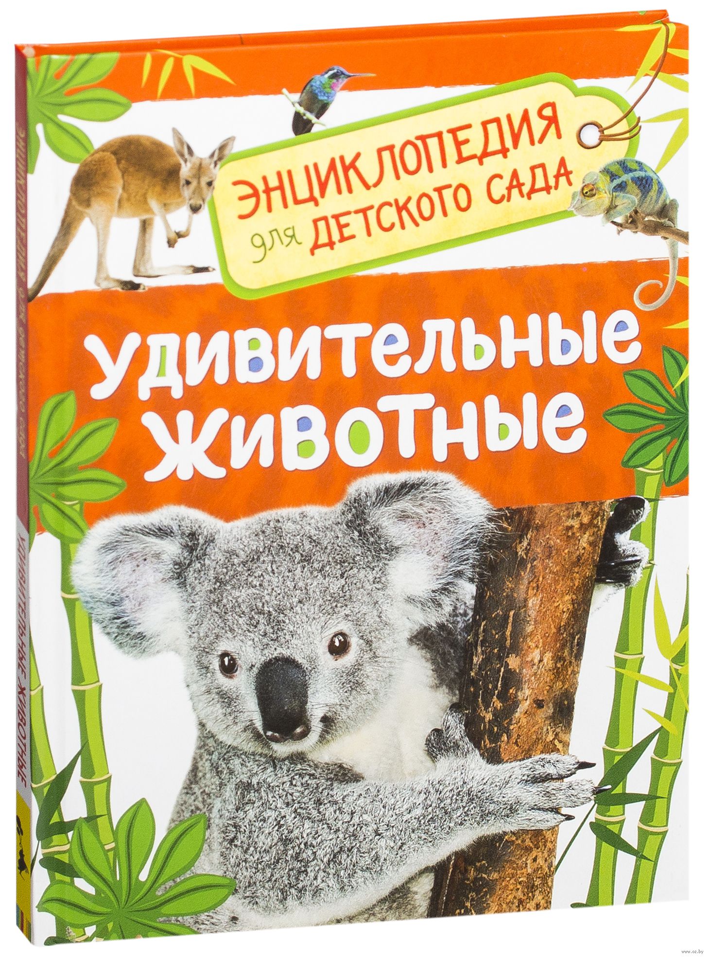 Энциклопедия для детского сада Удивительные животные "Росмэн"