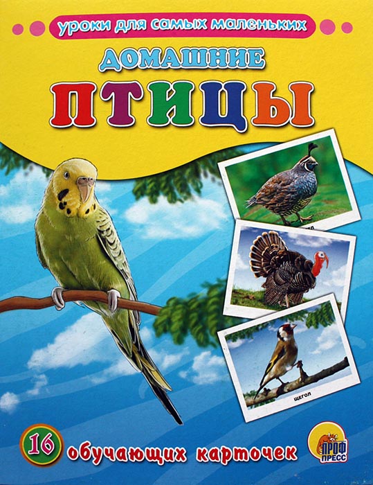 16 обучающих карточек Домашние птицы "Проф-Пресс"