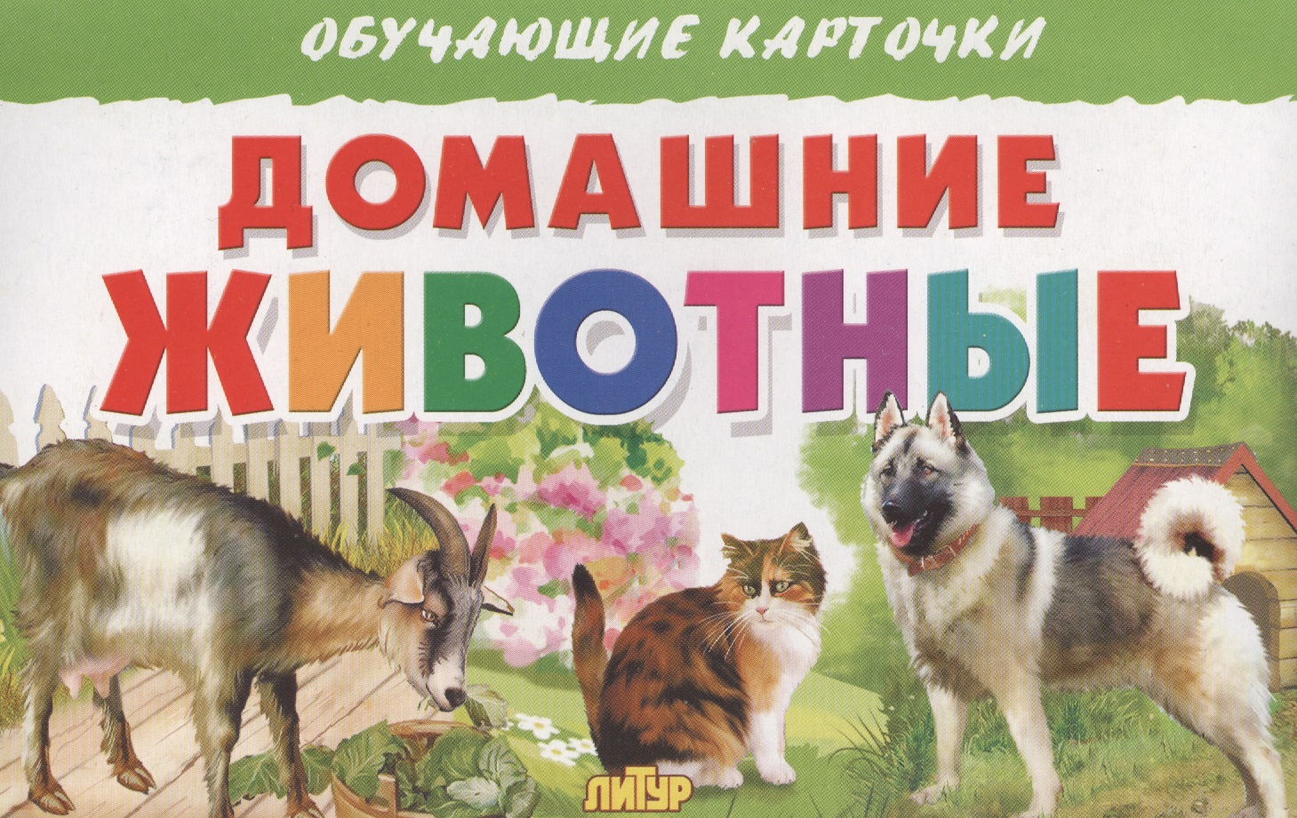 Обучающие карточки Домашние животные "Литур"
