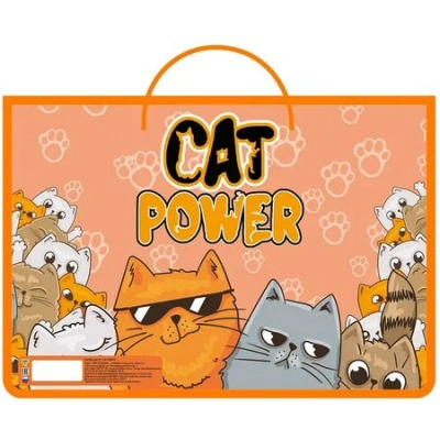 Папка на молнии с ручками 1 отделение А4 CAT PARTY ПМ-А4-35 9278