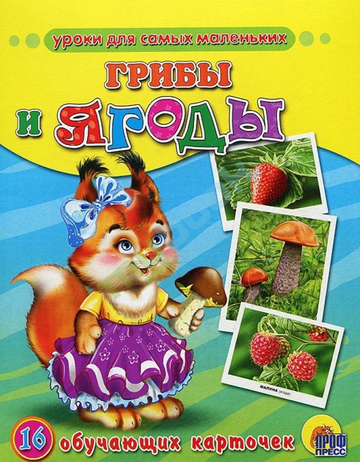 16 обучающих карточек Грибы и ягоды "Проф-Пресс"