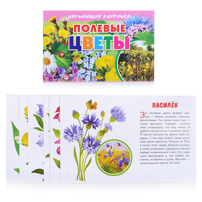 Обучающие карточки Полевые цветы "Литур"