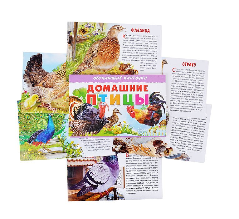 Обучающие карточки Домашние птицы "Литур"