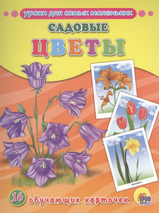 16 обучающих карточек Садовые цветы "Проф-Пресс"