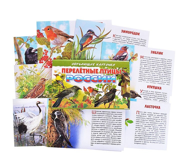 Обучающие карточки Перелетные птицы России "Литур"