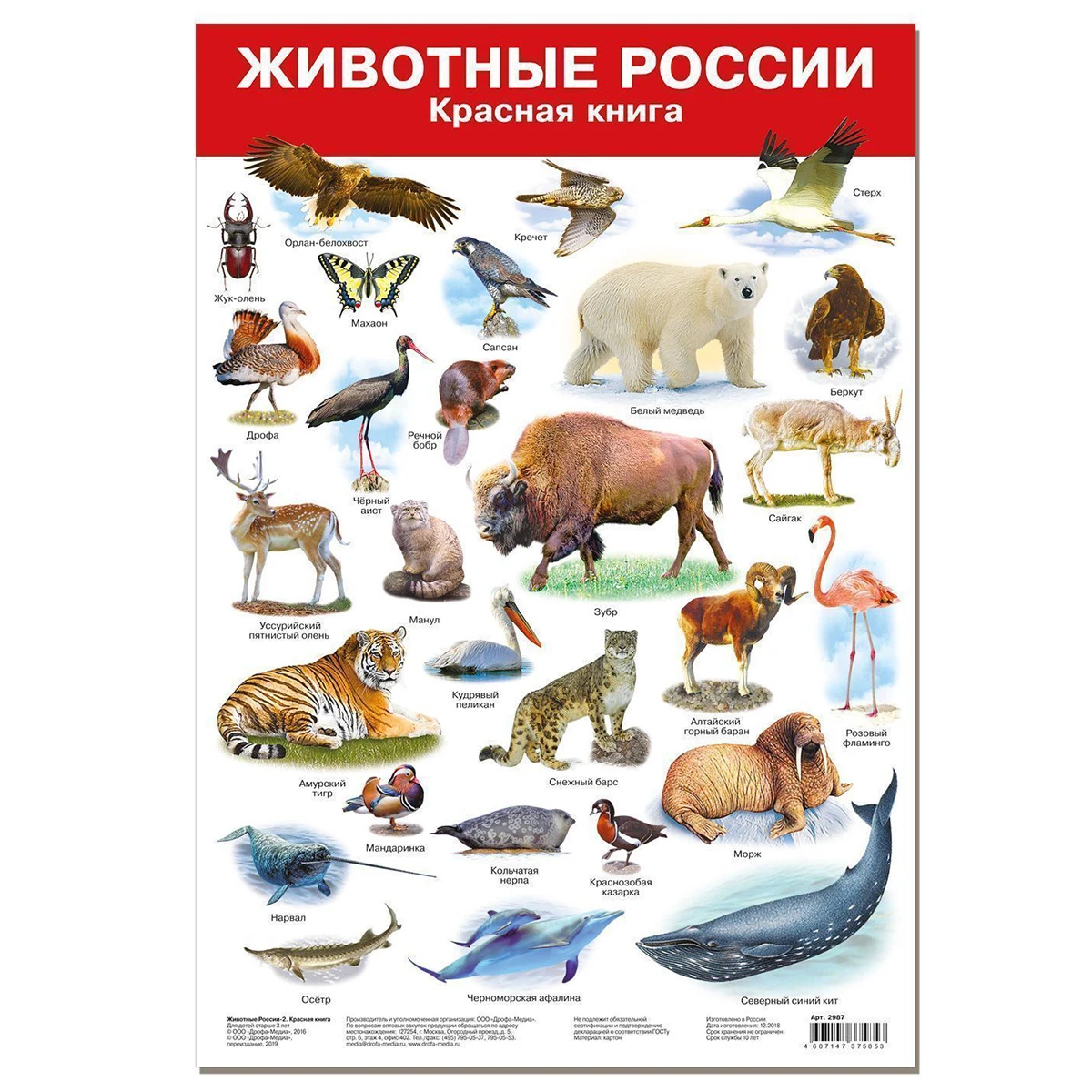 Плакат А3 Животные России Красная книга арт.2987