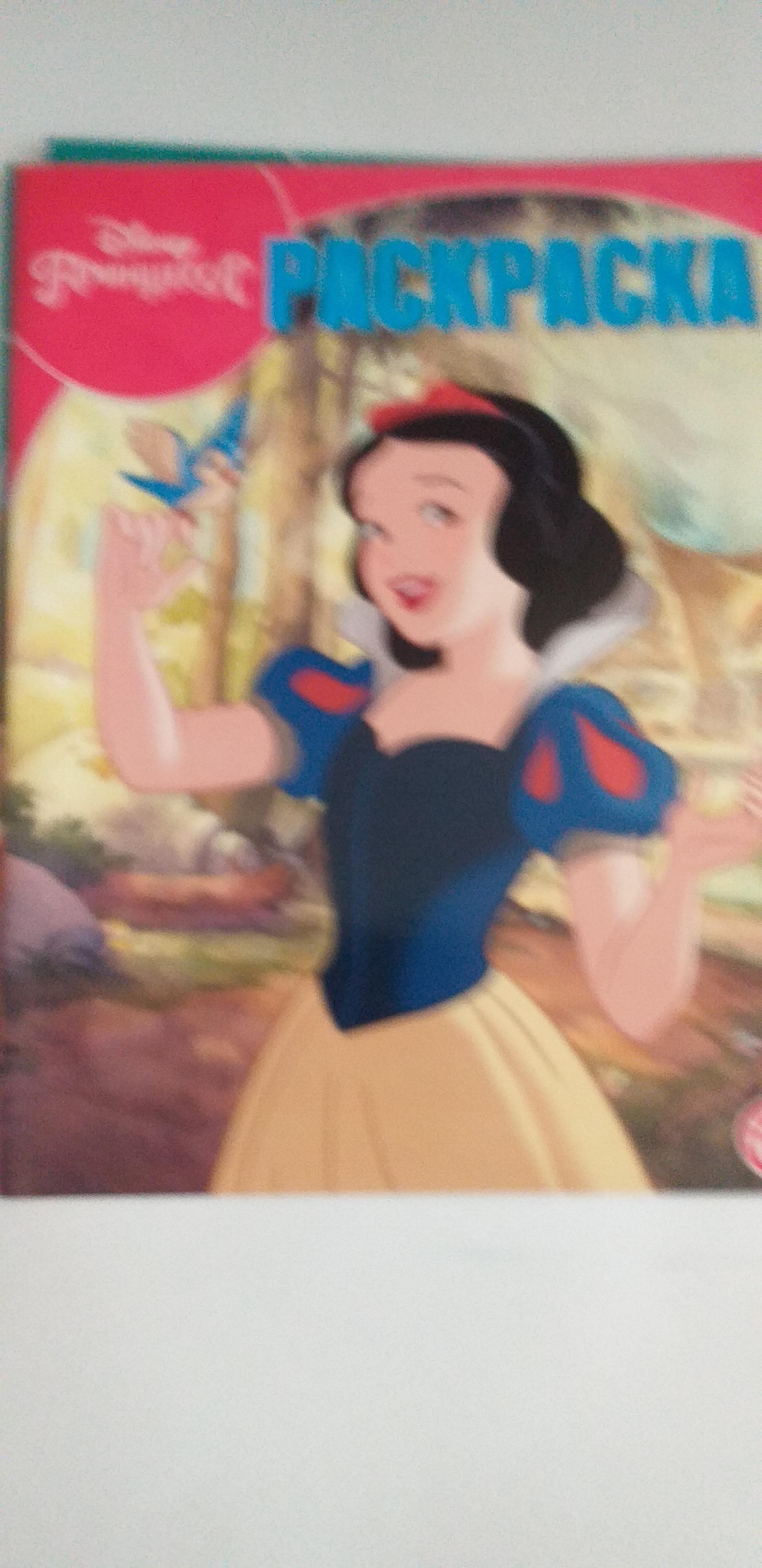 Раскраска №РК 1929 Принцесса Disney